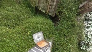 Франция/ Сады Этрета! Это стоит увидеть!