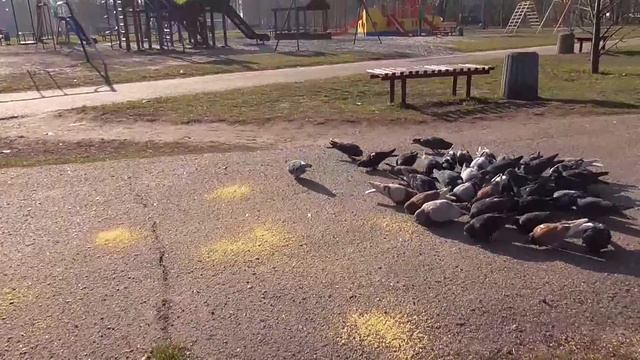ВЛОГ Как вдохновить и мотивировать себя на действия.