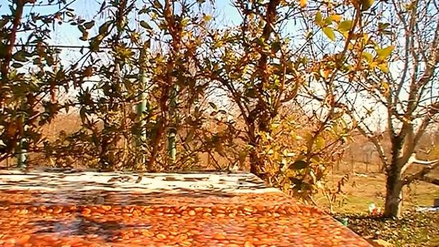 ЗЕЛЁНЫЙ БОРЩ ЗА 3 МИН И ОТВЕТ ПРО ВРАГА 29.03.2017 смотреть онлайн