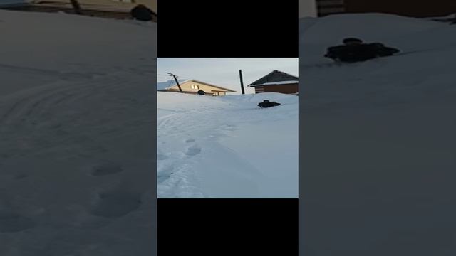 Гали Хакимов. В 77 лет вспомнил детство. смотреть онлайн