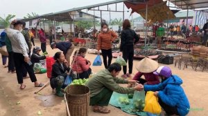 Harvest guava, papaya,in the garden,bring it to the district market to sell,Build daily life