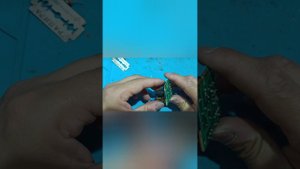 28 июня 2024 г.