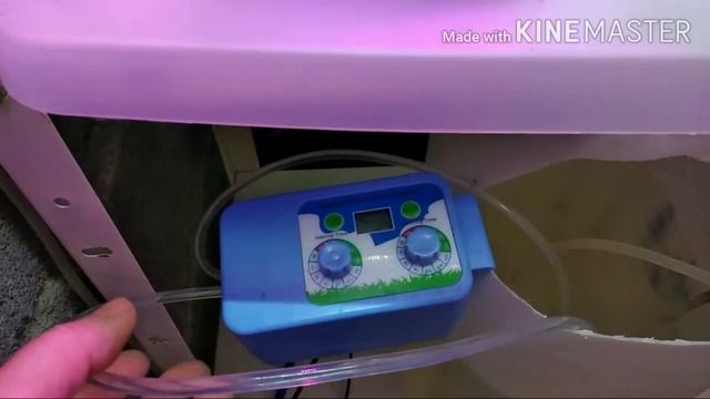 Автополив цикламенов на капиллярных матах. смотреть онлайн