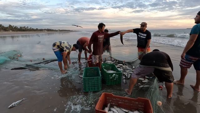 Большой улов сетями смотреть онлайн