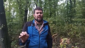 Как выбрать место под пасеку в лесу. Выбор места под пасеку и организация точек