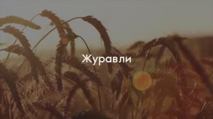 ЖУРАВЛИ с фото не вернувшихся с войны