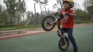 Беговел Puky LR Ride