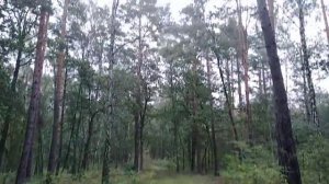 Потсдам. Телевышка  Западного Берлина. Я её нашёл!