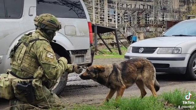 наши военнослужащие