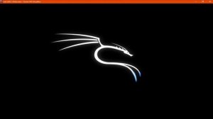 KALI LINUX 2020.2  Установка .Решение проблем с установкой