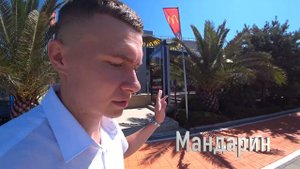 Прогулка по центральной набережной Адлера + молл под открытым небом Мандарин