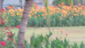 Аэропорт Самуи Таиланд ливень