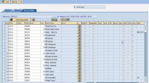 SAP HR Payroll reports and interfaces without ABAP programming or Microsoft Excel