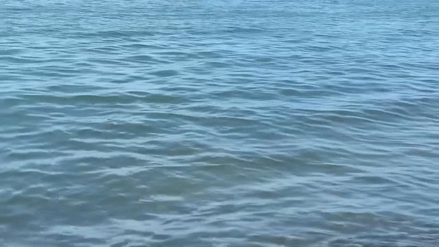14.06.2023. Погода в Сочи в июне.Смотри на Чёрное море каждый день.