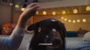 VK Капсула Нео — НЕОбыкновенная умная колонка!