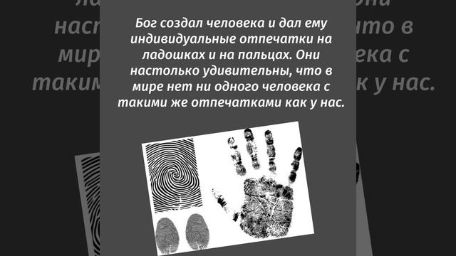 О чём говорят отпечатки пальцев? смотреть онлайн