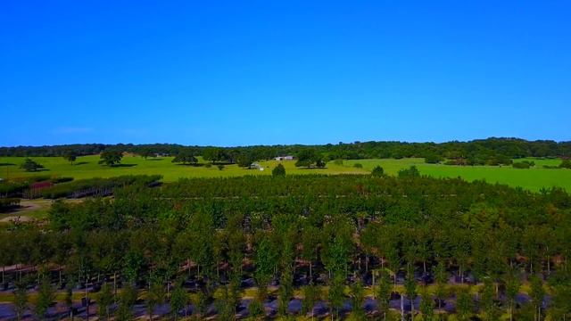 Hope Valley Tree Farm смотреть онлайн