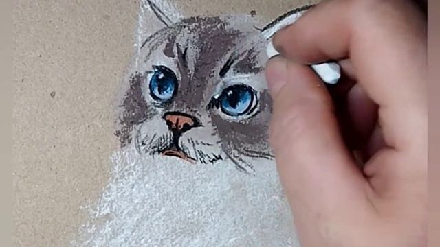 Портрет голубоглазого кота. Рисунок пастелью на крафтовой бумаге.