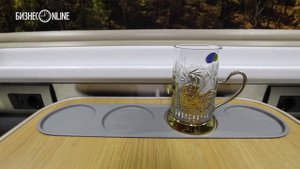 Новый плацкартный вагон от РЖД вживую