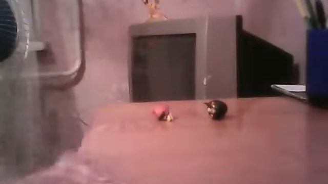 мой первый Angry Birds и своими руками смотреть онлайн