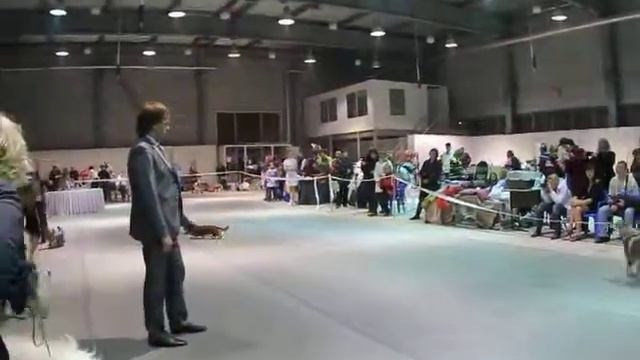 MVI 4992 смотреть онлайн