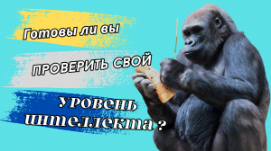 Готовы ли вы проверить свой уровень ума и эрудиции?
Викторина по биологии