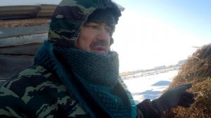 Зима продолжается.. Ответы на вопросы..