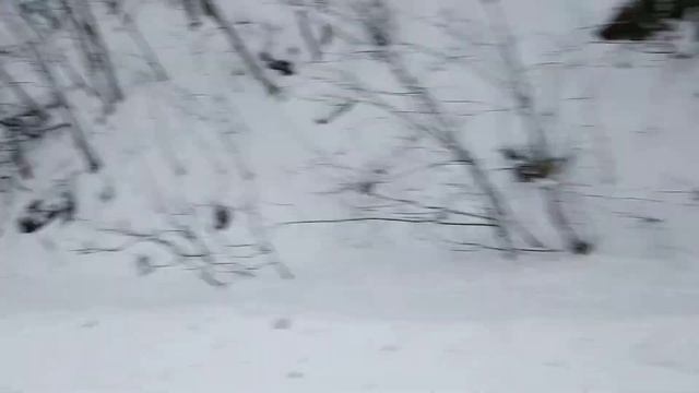 #Дорога в Кавалерово от Варфоломеевки