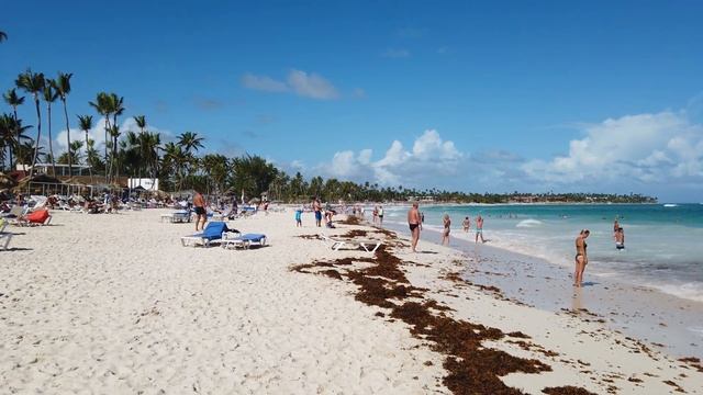 Punta Cana, Dominican Republic beach walking tour 4k 60fps смотреть онлайн