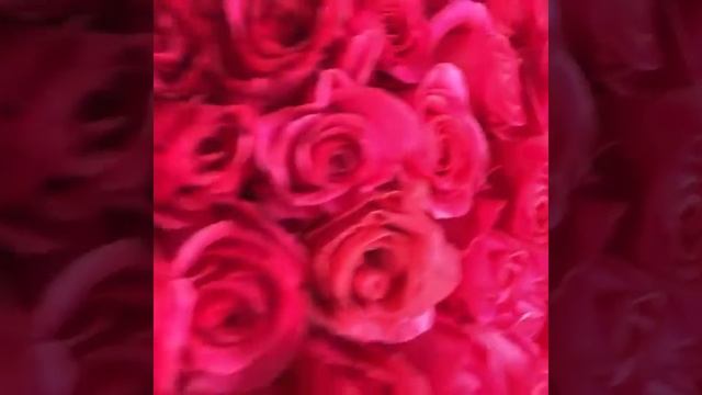 101 РОЗА ПИНК ФЛОЙД ЦВЕТЫ ДНЕПР смотреть онлайн