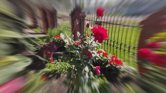 20 августа 2022 г. смотреть онлайн