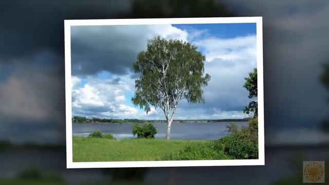 #БЕРЕЗА. СИМВОЛ СЛАВЯНСКОГО МИРА! смотреть онлайн