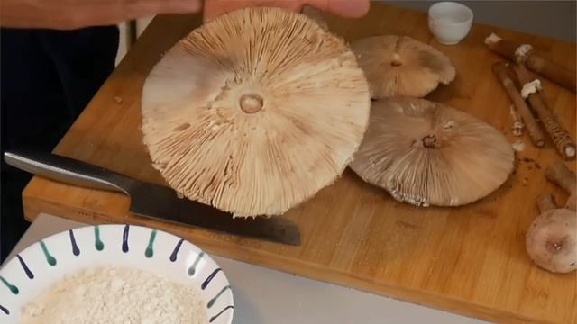 Gebackene Parasol - eine Pilzspezialität смотреть онлайн