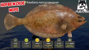 НОВЫЕ ВИДЫ РЫБ И ОТЛИЧНЫЙ КЛЕВ НА НОРВЕЖСКОМ МОРЕ В РУССКОЙ РЫБАЛКЕ 4 РР4