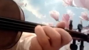 ГАММА СОЛЬ-МАЖОР НА СКРИПКЕ.УРОК.