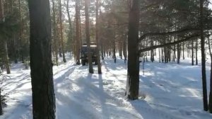 КАЗ 608 _Колхида_.mp4