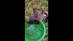 О хранении в летний период личинок ручейника, поденки, веснянки, казары и других в реке