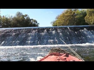 Одиночный сплав по реке Северка сентябрь 2023г