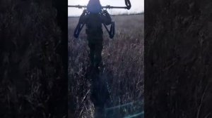 Наши бойцы посадили украинский БПЛА с полным боекомплектом мин.  💥