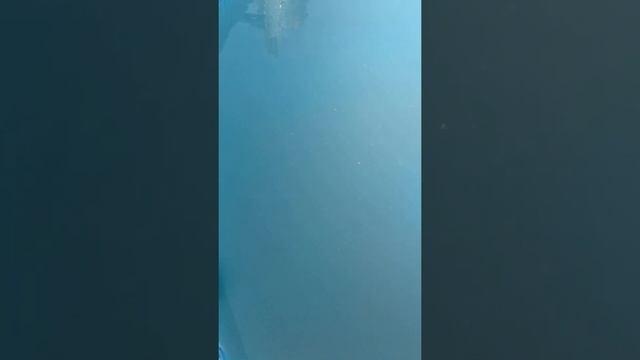 Как мы очистили очень грязную,зеленую воду в бассейне смотреть онлайн