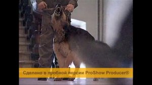 гр Пятилетка Уже неделю отсидел 2