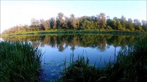 рыбалка 24.08.2019 года на Дону в Лискинском районе в районе Нижнего Икорца.mp4