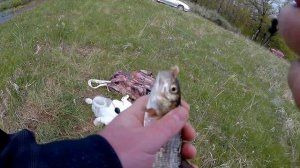 Рыбалка на поплавок. Ловля белой рыбы на поплавочную удочку.