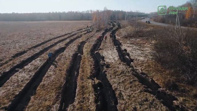 Посадка леса в Кемеровской области 15 октября 2021 года смотреть онлайн