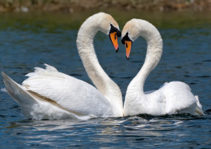 Песня из фильма Ирония судьбы.mp4