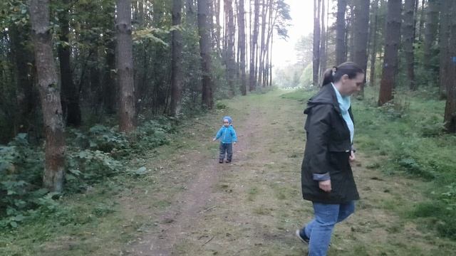 Эпизоды из жизни священника. Чай, молитва и  старые подсвечники. смотреть онлайн