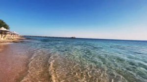 Какая погода в Египте в Феврале / Египет 2022 / Египет зимой /