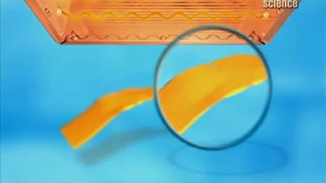 Интересные факты