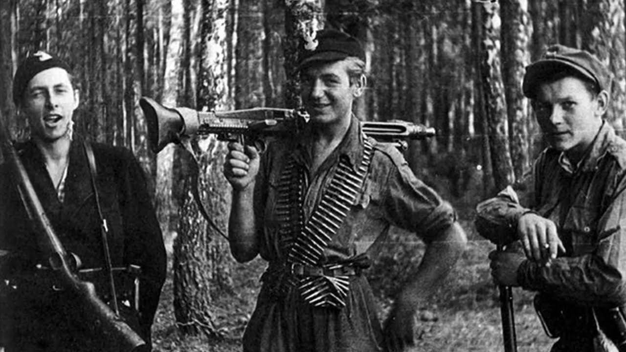 Как Польша воевала на стороне Рейха в 1941 1944  Неприятная правда для Варшавы