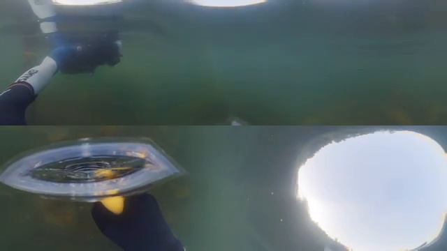 Подводная съемка 360, остров Шикотан, бухта Отрадная